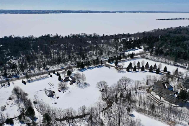 8156 E Ridge Rd, Harbor Springs, MI 49740