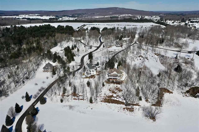 8156 E Ridge Rd, Harbor Springs, MI 49740