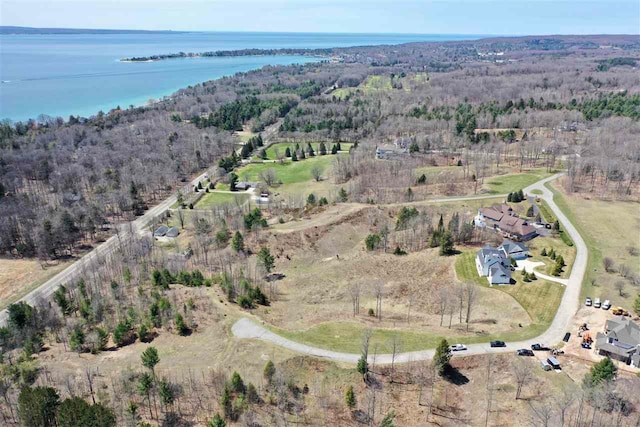 8156 E Ridge Rd, Harbor Springs, MI 49740