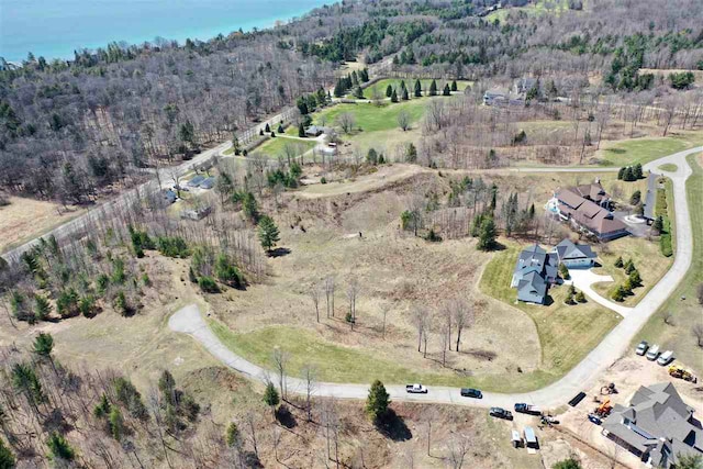 8156 E Ridge Rd, Harbor Springs, MI 49740