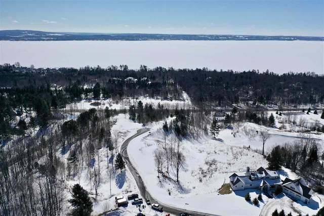 8167 E Ridge Rd, Harbor Springs, MI 49740