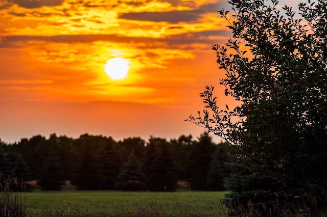 8167 E Ridge Rd, Harbor Springs, MI 49740