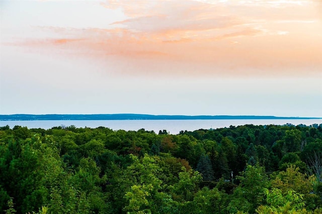 8167 E Ridge Rd, Harbor Springs, MI 49740