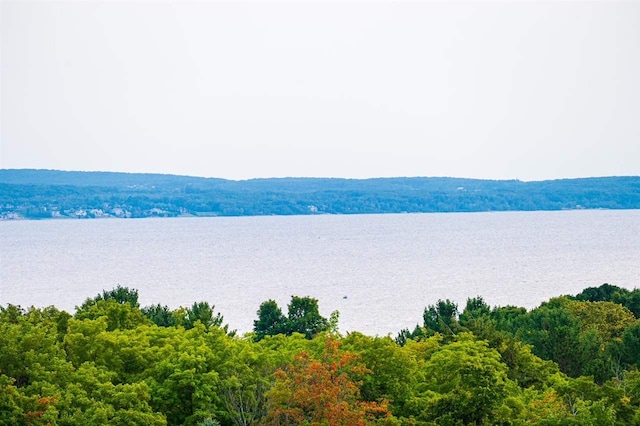 8167 E Ridge Rd, Harbor Springs, MI 49740