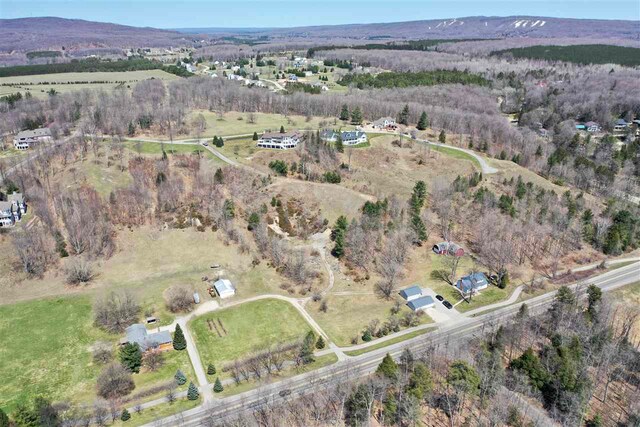 8167 E Ridge Rd, Harbor Springs, MI 49740