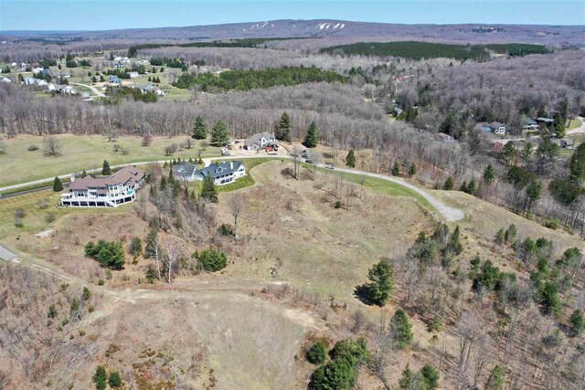 8167 E Ridge Rd, Harbor Springs, MI 49740