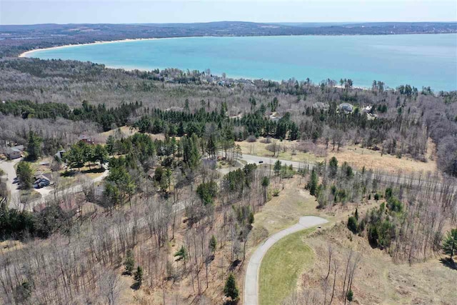 8178 E Ridge Rd, Harbor Springs, MI 49740