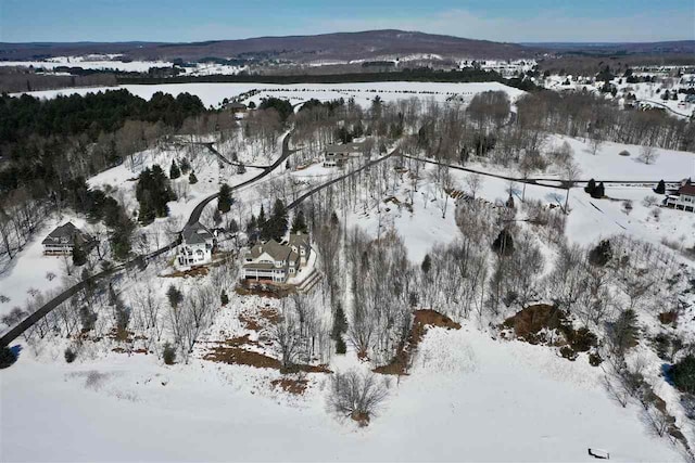 8178 E Ridge Rd, Harbor Springs, MI 49740