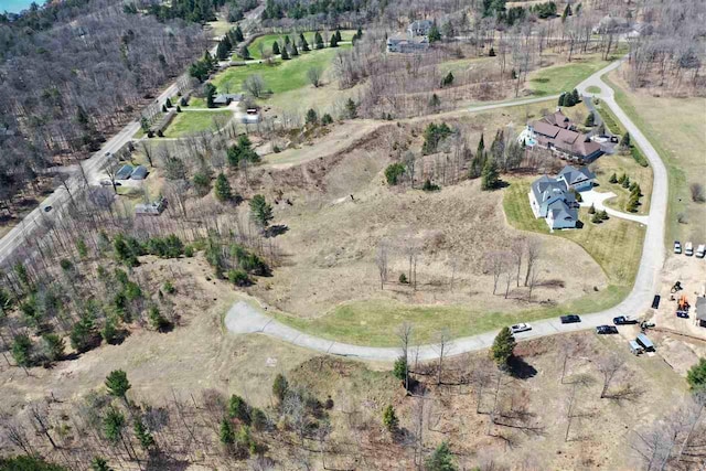 8178 E Ridge Rd, Harbor Springs, MI 49740