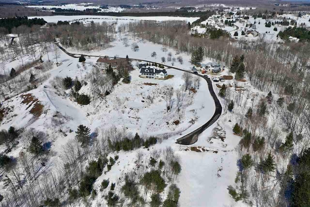 8178 E Ridge Rd, Harbor Springs, MI 49740