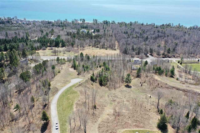 8183 E Ridge Rd, Harbor Springs, MI 49740