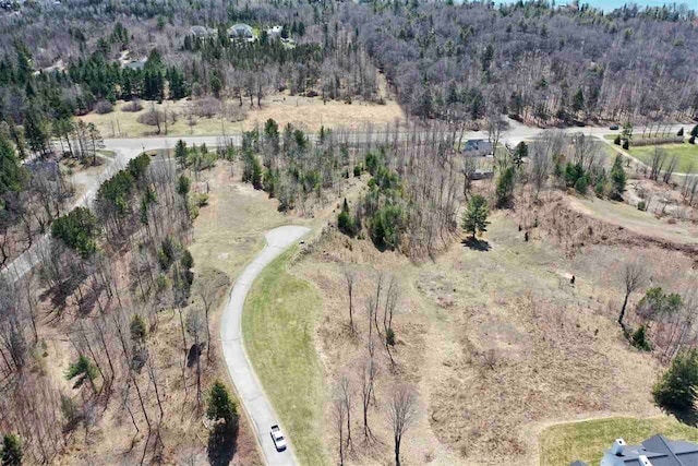 8183 E Ridge Rd, Harbor Springs, MI 49740