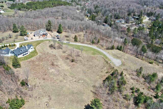 8183 E Ridge Rd, Harbor Springs, MI 49740