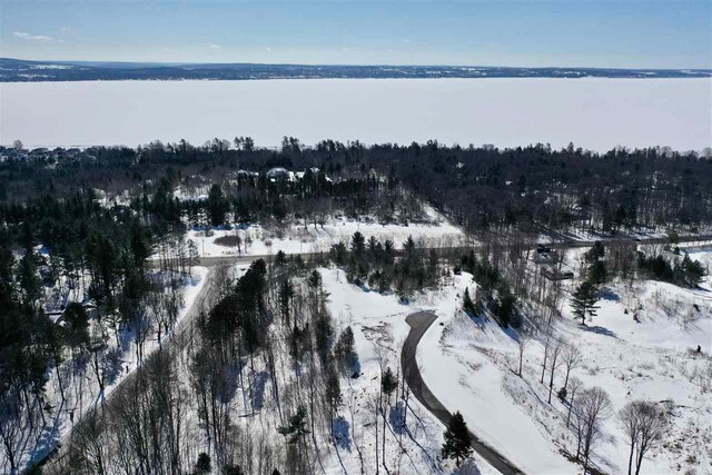 8197 E Ridge Rd, Harbor Springs, MI 49740