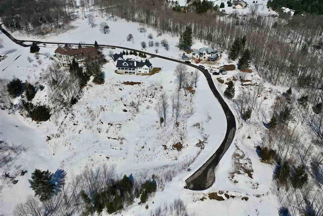 8197 E Ridge Rd, Harbor Springs, MI 49740
