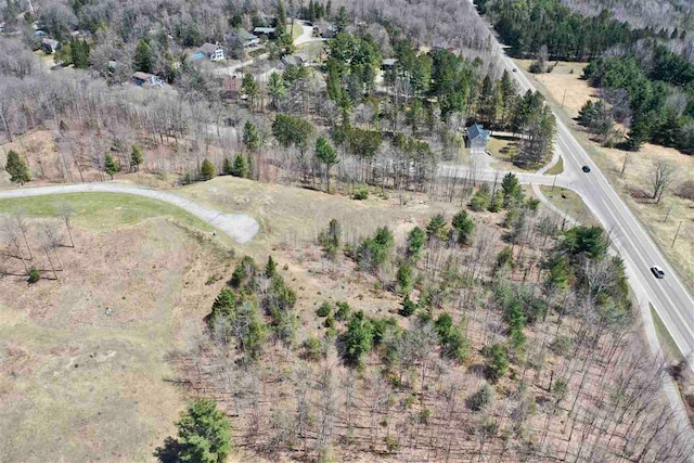 8197 E Ridge Rd, Harbor Springs, MI 49740
