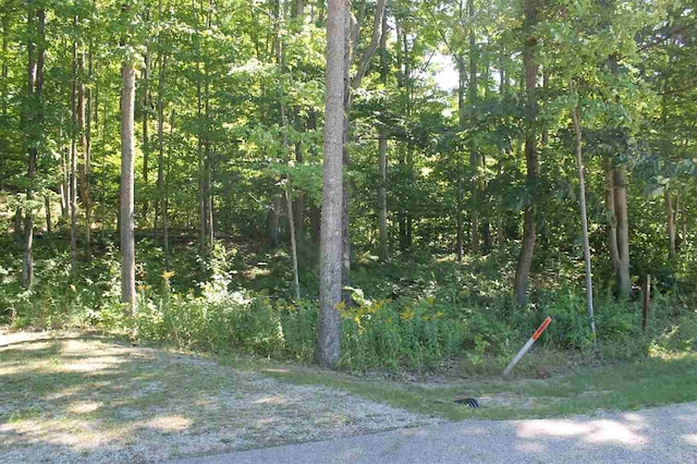 TBD Wintergreen, Harbor Springs, MI 49770