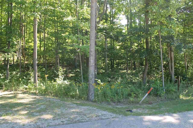 TBD Wintergreen, Harbor Springs MI, 49770 land for sale