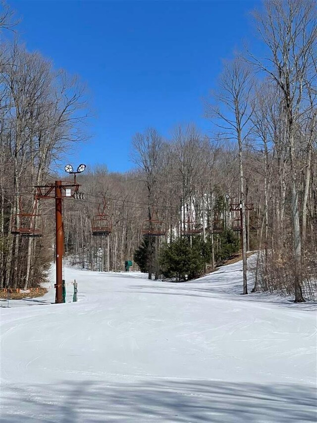 TBD Wintergreen, Harbor Springs, MI 49770