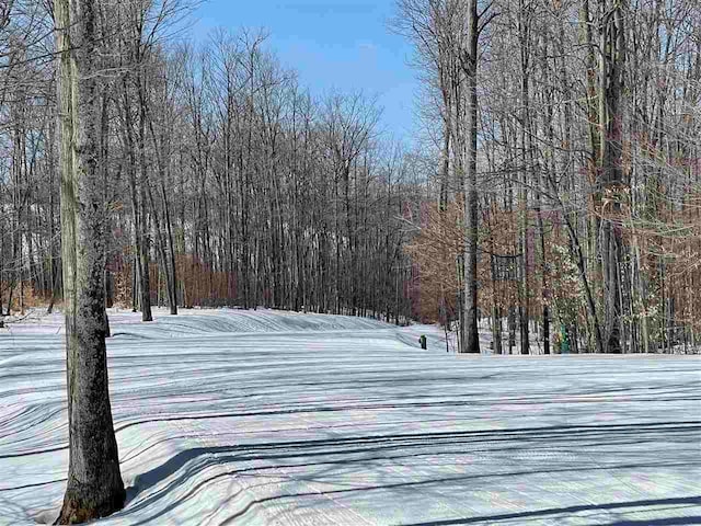 TBD Wintergreen, Harbor Springs, MI 49770