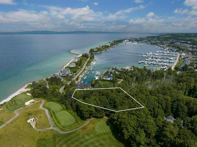 1210 Shores Dr, Bay Harbor MI, 49770 land for sale