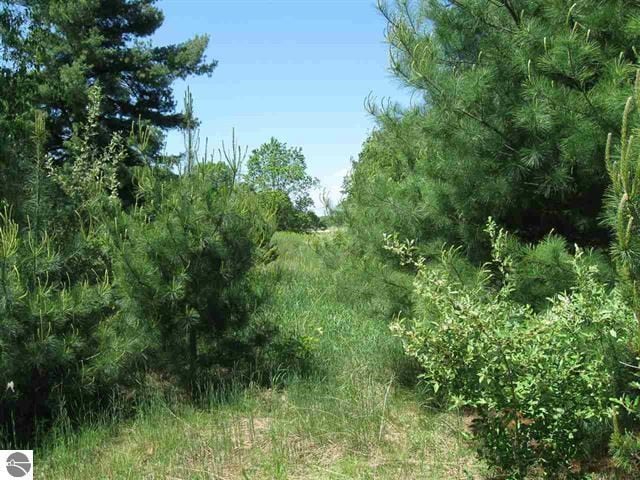 Listing photo 3 for LOT33 Alden Mdws, Alden MI 49612