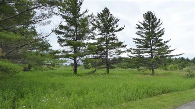 Listing photo 3 for LOT73 Country Club Dr, Charlevoix MI 49720