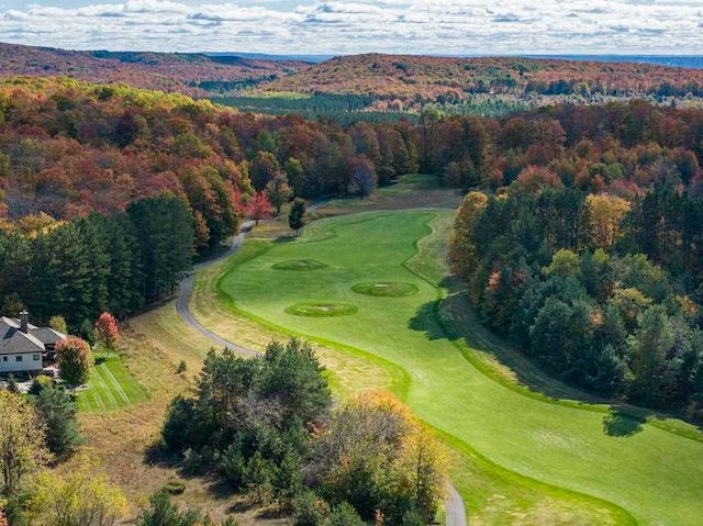 bird's eye view