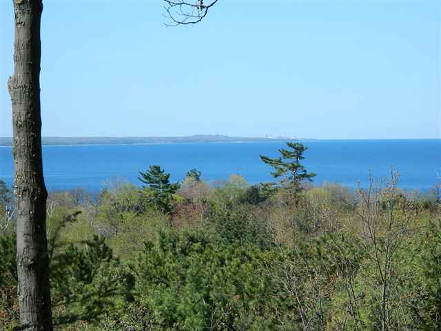 Listing photo 3 for 5735 Windrift, Harbor Springs MI 49740