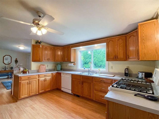 kitchen featuring white dishwasher, stove, ceiling fan, light hardwood / wood-style flooring, and sink