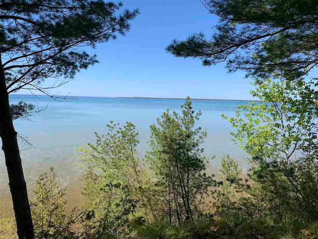 Listing photo 2 for 38170 Indian Point Rd, Beaver Island MI 49782