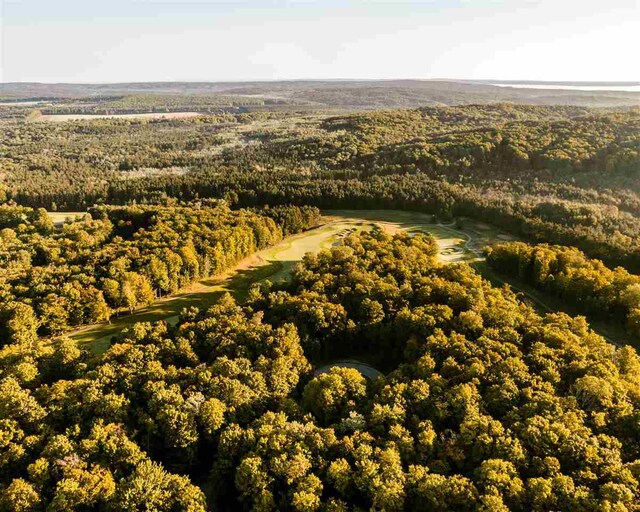 2194 N Black Rock Way, Harbor Springs, MI 49740
