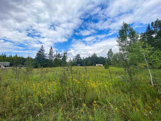 Listing photo 3 for 8425 S US-31 Hwy, Alanson MI 49706