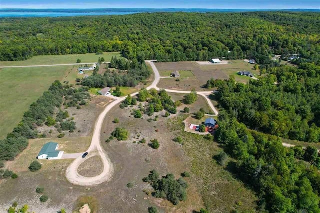 Listing photo 2 for TBD Miller Rd, Alanson MI 49706