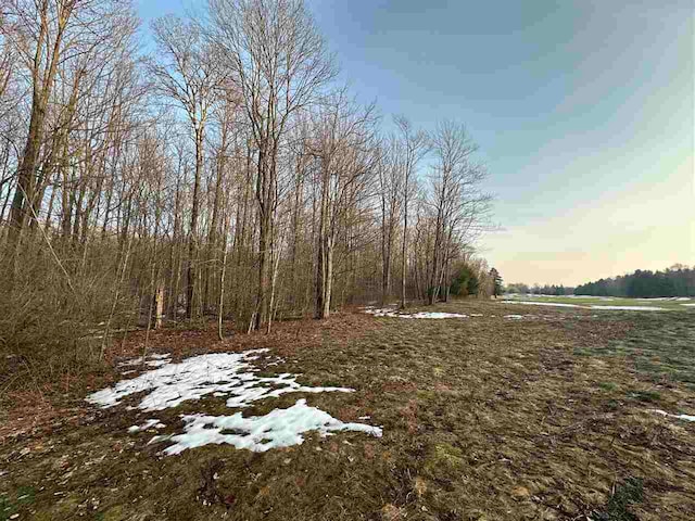 4080 W Ridge Ct, Harbor Springs, MI 49740