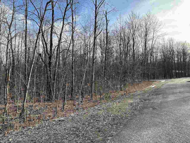 Listing photo 3 for LOT351 Dellwood Dr, Elmira MI 49730