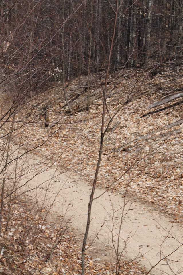 340 Pleasant Ridge Dr, Harbor Springs, MI 49740