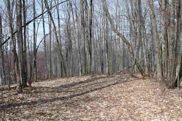 340 Pleasant Ridge Dr, Harbor Springs, MI 49740