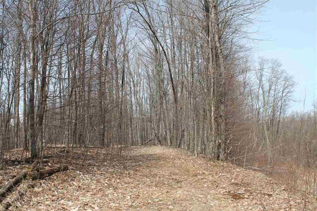 340 Pleasant Ridge Dr, Harbor Springs, MI 49740