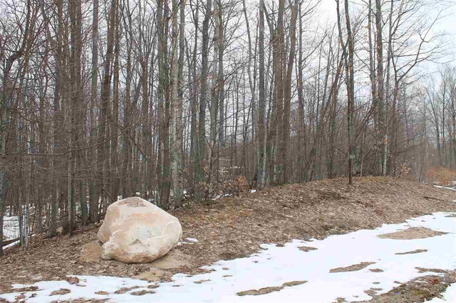 340 Pleasant Ridge Dr, Harbor Springs, MI 49740
