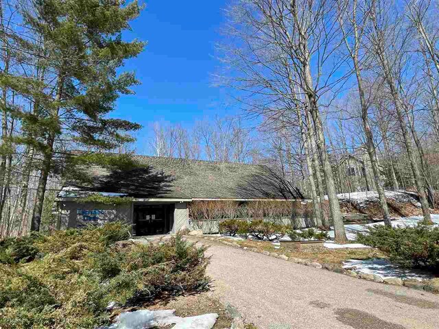 340 Pleasant Ridge Dr, Harbor Springs, MI 49740