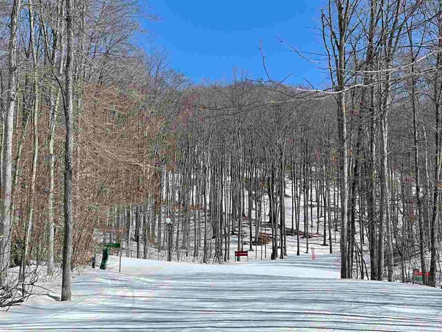 340 Pleasant Ridge Dr, Harbor Springs, MI 49740