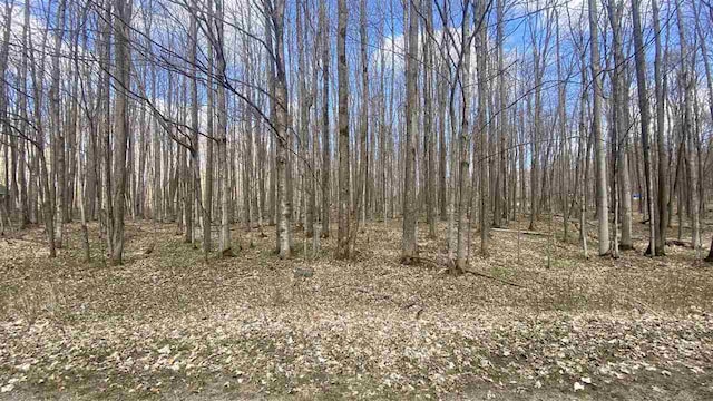 LOT111 Forestgrove Dr, Elmira MI, 49730 land for sale