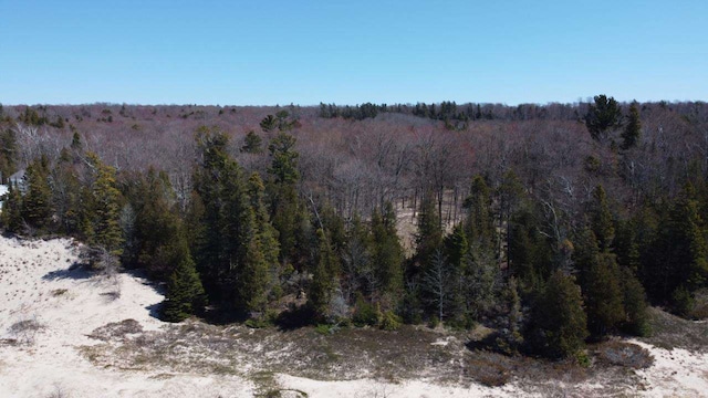 Listing photo 3 for LOT4 Greenes Bay Dr, Beaver Island MI 49782