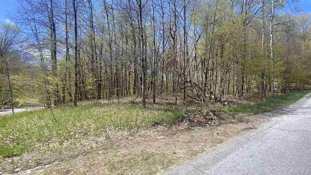 Listing photo 2 for LOT105-106 E Village Dr, Bellaire MI 49615