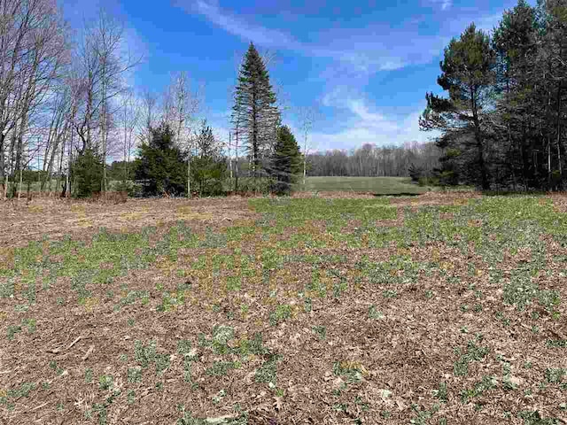 7481 S State Rd, Harbor Springs MI, 49740 land for sale