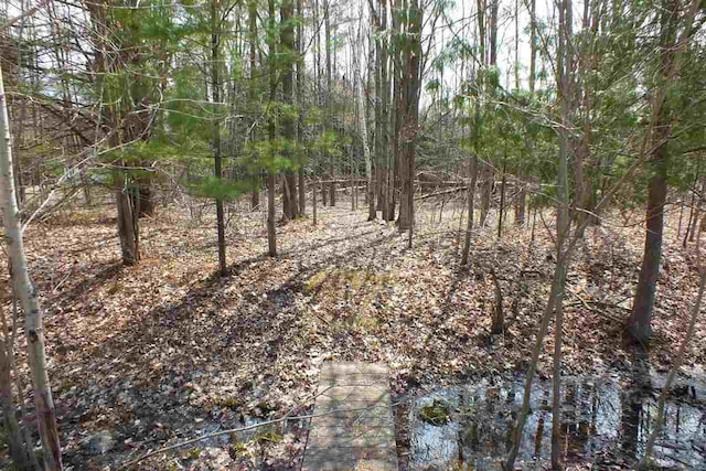 Listing photo 3 for LOT6 Trosko Rd, Kalkaska MI 49676