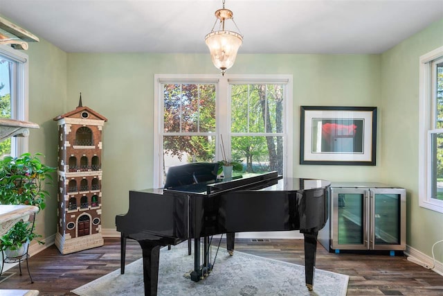 miscellaneous room with dark hardwood / wood-style floors and a healthy amount of sunlight