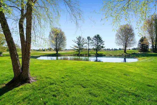 view of nearby features featuring a lawn and a water view