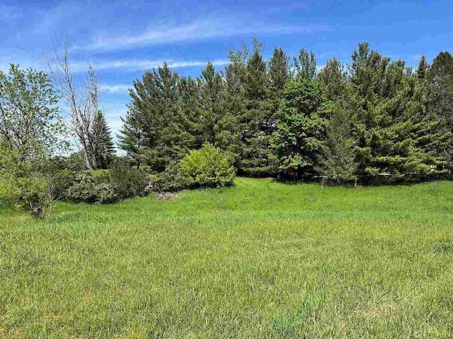 LOT8 Schoolcraft Rd, Bellaire, MI 49615